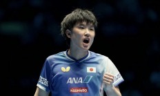 九游体育APP下载-关于法国乒乓球队逆转比利时乒乓球队，张本智和关键制胜的信息