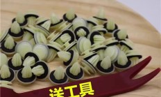 九游娱乐网页-关于马来西亚选手勇夺金杯，喜气洋洋的信息