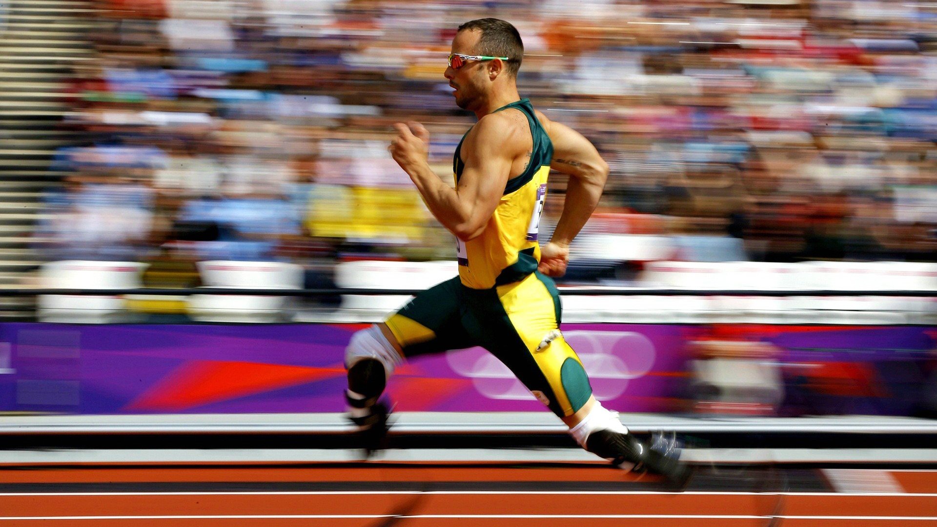 公牛淘汰赛过关深圳队，武切维奇成为关键先生